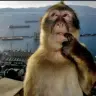 baiahoahao