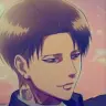 PHC - Levi