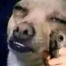 Artemiz