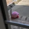 leooooo