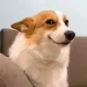 fud0shiki