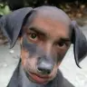 umadnlying