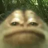 Humid