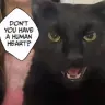 NIGGERIAN