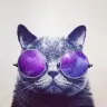 zair