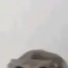 B3ni