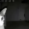hghgin
