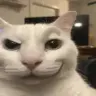 runtz555