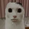 ChussaWarrior