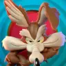 Coyot