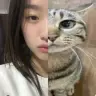 yyseornsfwknjj