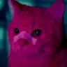 mediatestanimals