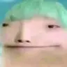 boltesvivi