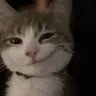 wiwowiwowiwoooo777