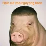 halimaw kumantat