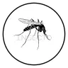 insecto