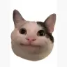 CLAIRV0YANT