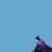 Ekko 12