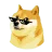 DogeX