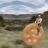 biscuitbiskwit