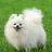 Duds070805