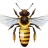 JoyfulBee