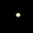 kingofthepirates