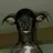 BlackJubot69