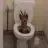 Poopzy123