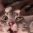 Luxx_