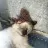 flokie
