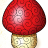 pachung123