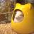 roomba