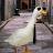 goosmann