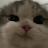 ipoomsocute