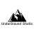 onion_vel