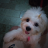 arth010837