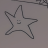 Nooi