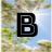bndct