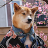 desparo
