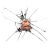 awtsdroid