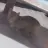 hellotony24