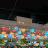 whosay
