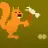 kangaroo