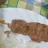 salamalaikum21