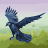 Akeu12