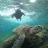 ctrlshft