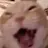 aerggvvv