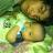 primo12xx