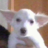 BeNy09